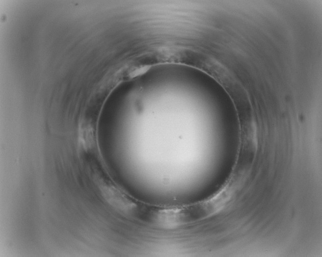 X0000066080090200603241443