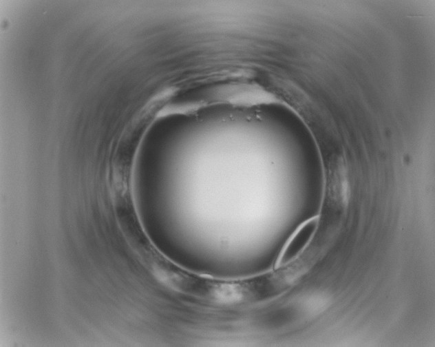 X0000066080091200603241443