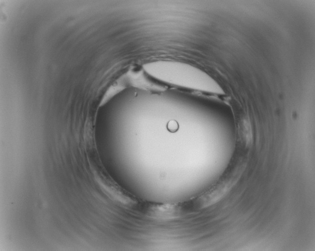 X0000066080092200603241443