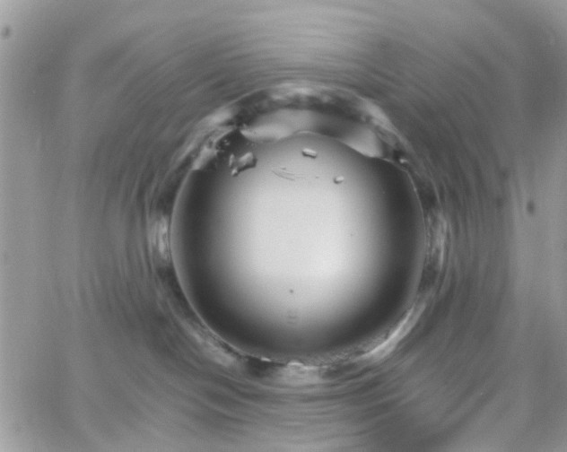 X0000066080094200603241443