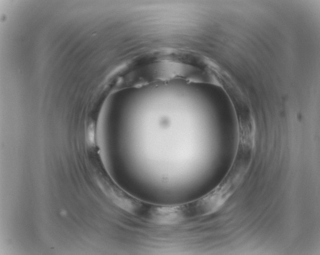 X0000066080095200603241443