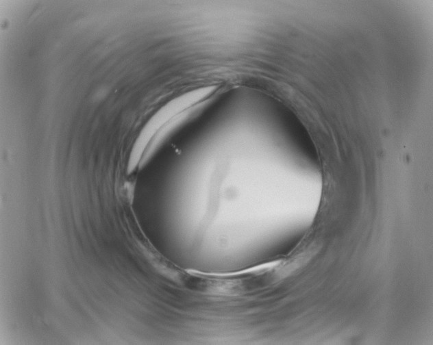 X0000066080096200603241443