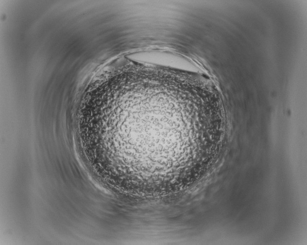 X0000066080097200603241442