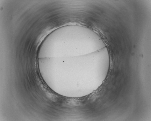 X0000066080098200603241442