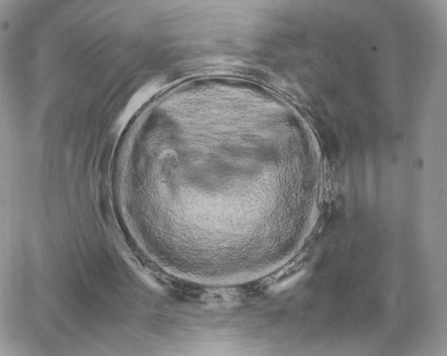 X0000066080099200603241442