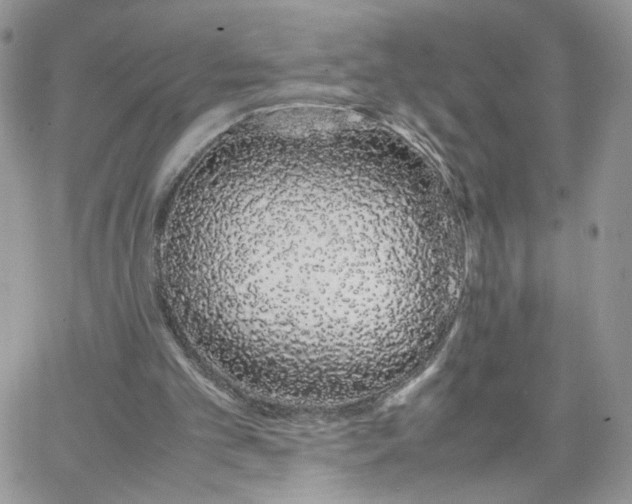 X0000066080101200603241442