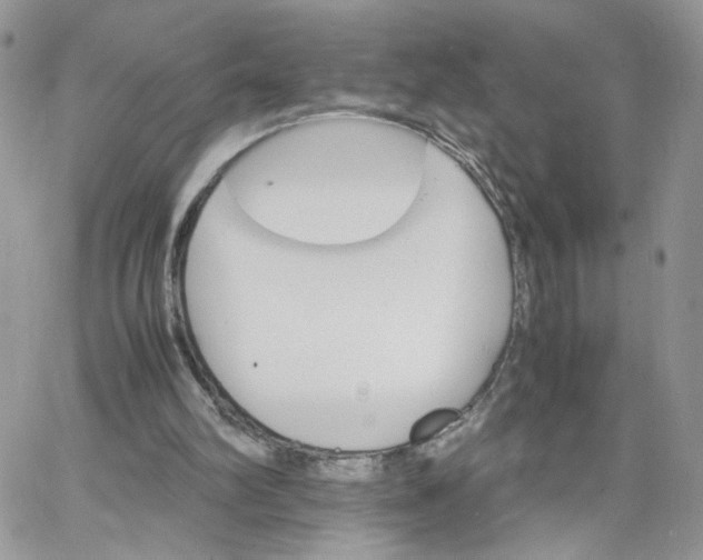 X0000066080102200603241442