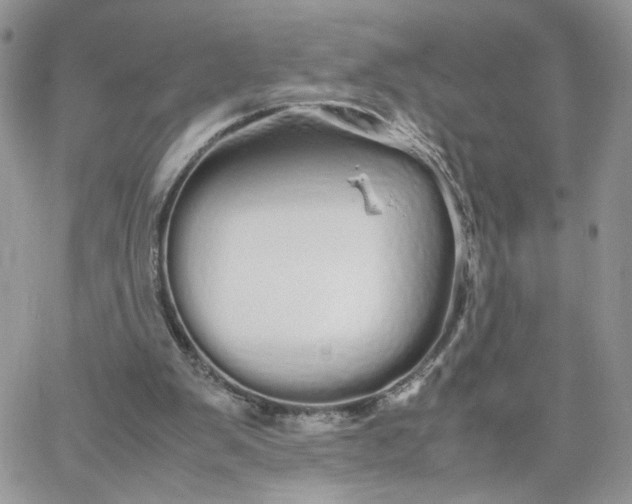 X0000066080103200603241442