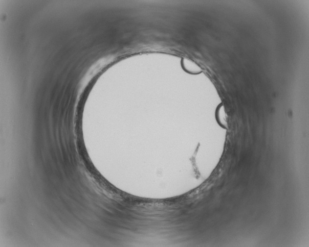 X0000066080104200603241442