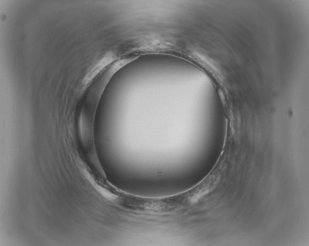 X0000066080105200603241442