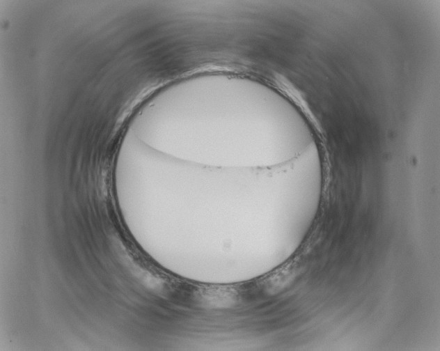 X0000066080106200603241442