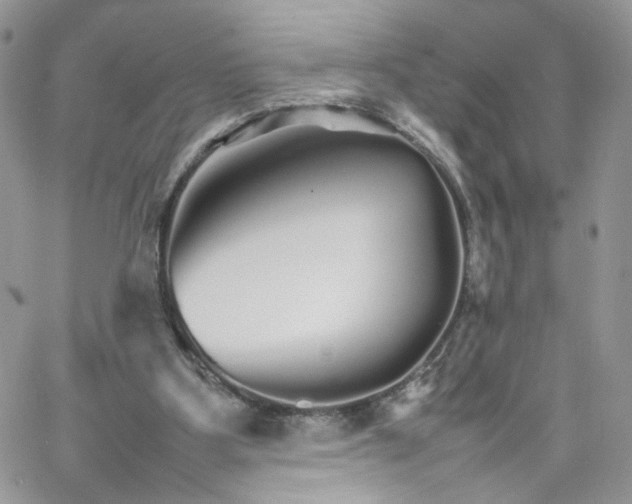 X0000066080107200603241442