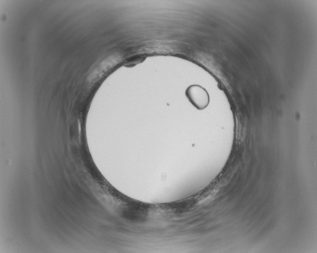 X0000066080109200603241442