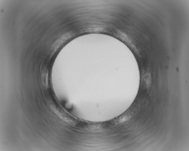 X0000066080110200603241442