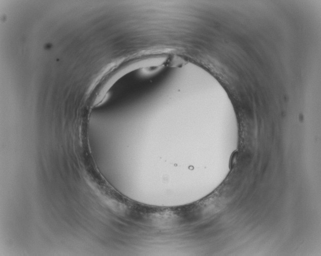 X0000066080112200603241442