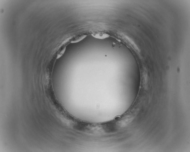 X0000066080113200603241442