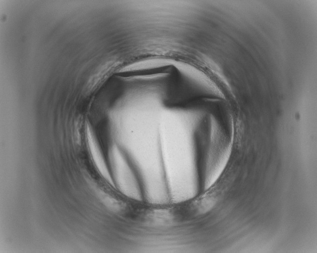 X0000066080114200603241442