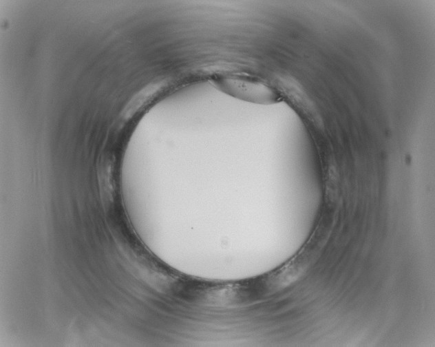 X0000066080116200603241442