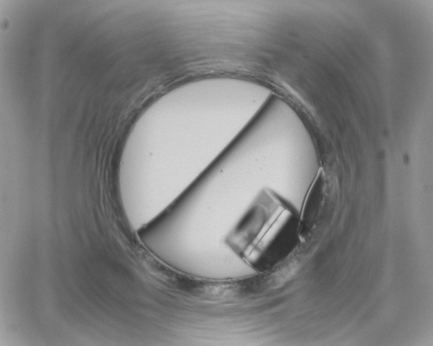 X0000066080117200603241442