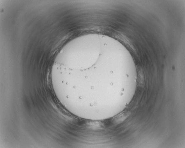 X0000066080118200603241441