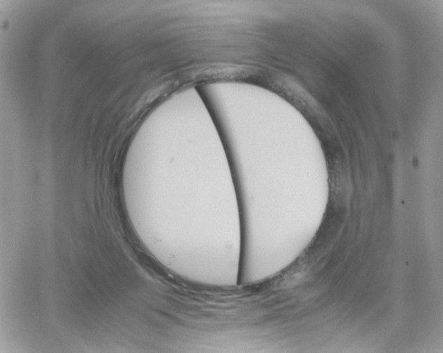 X0000066080119200603241441