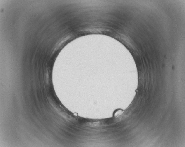 X0000066080120200603241441