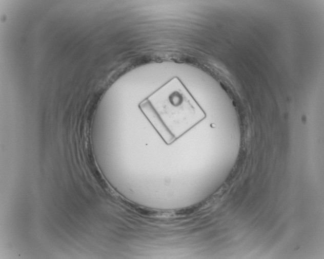 X0000066080121200603241441