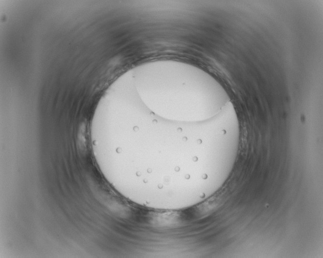 X0000066080122200603241441