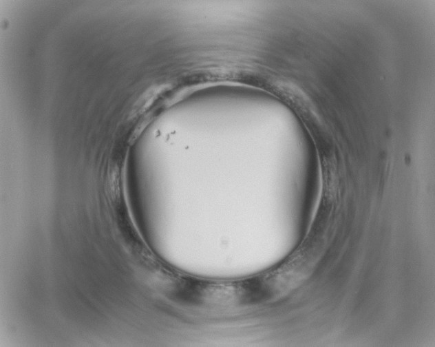 X0000066080123200603241441