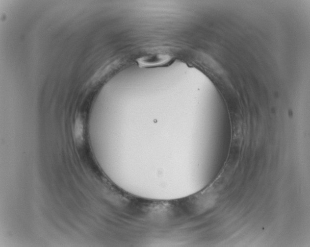 X0000066080124200603241441