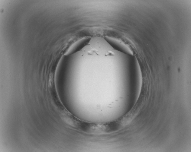 X0000066080125200603241441