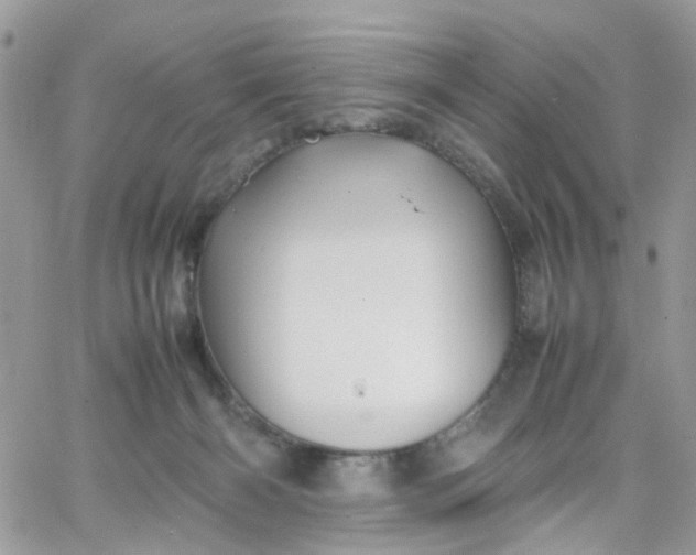 X0000066080126200603241441