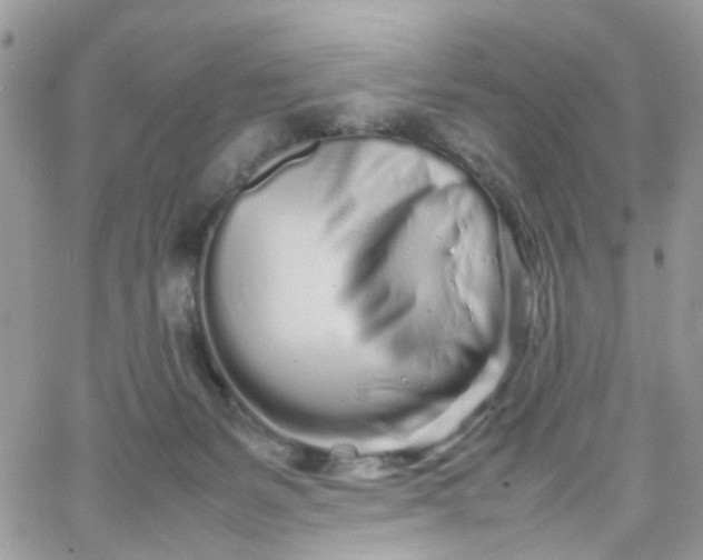 X0000066080127200603241441