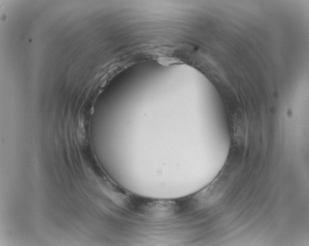 X0000066080128200603241441