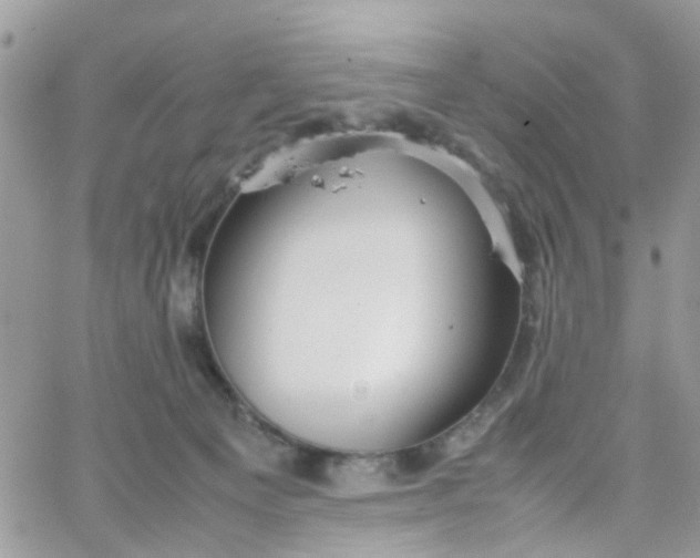 X0000066080129200603241441