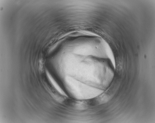 X0000066080130200603241441