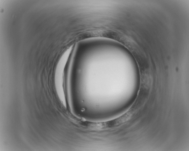 X0000066080131200603241441