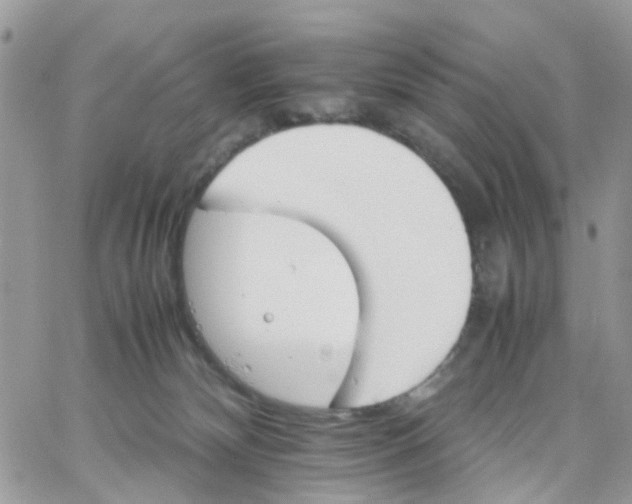 X0000066080132200603241441