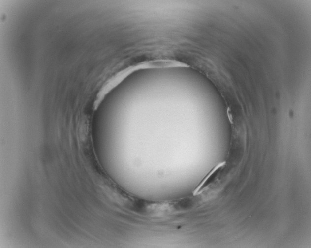 X0000066080133200603241441