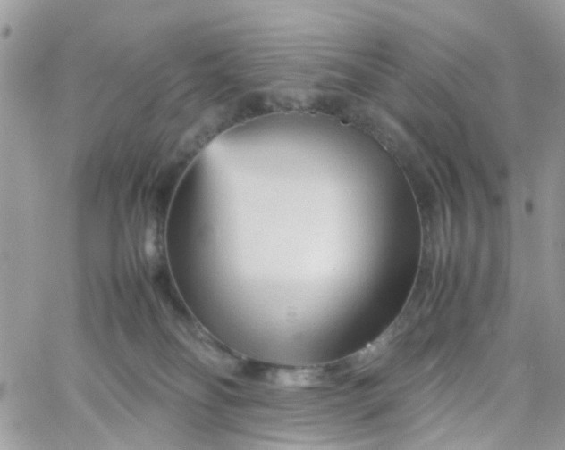 X0000066080134200603241441