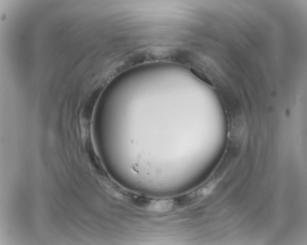 X0000066080135200603241441