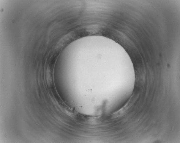 X0000066080136200603241441