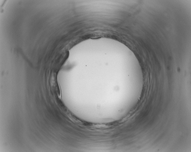 X0000066080137200603241441