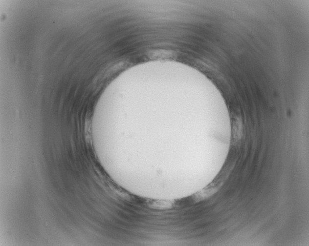 X0000066080138200603241441