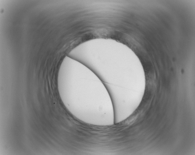 X0000066080139200603241441