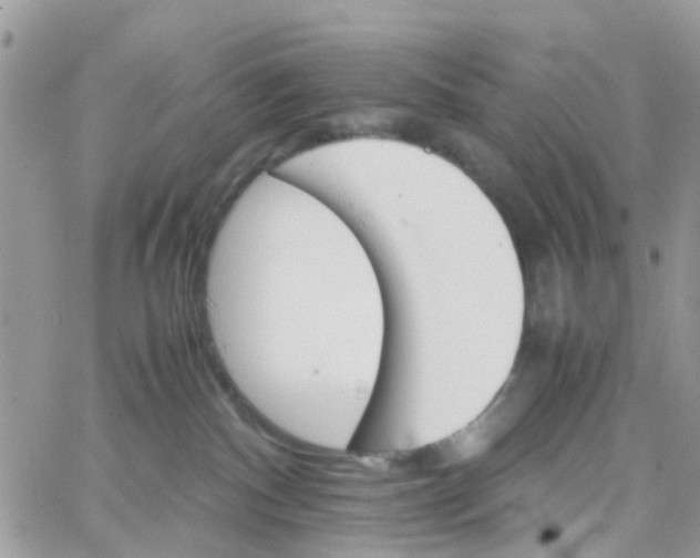 X0000066080140200603241441