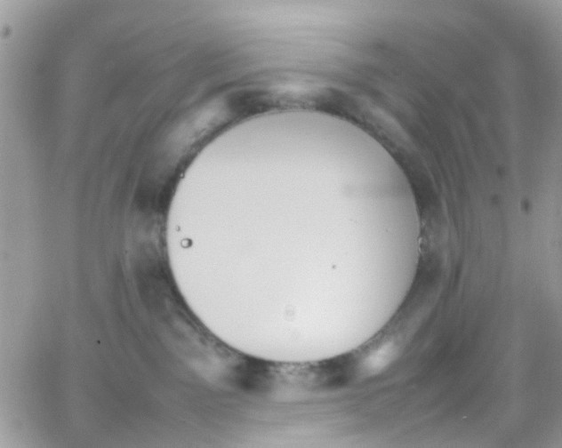 X0000066080141200603241441