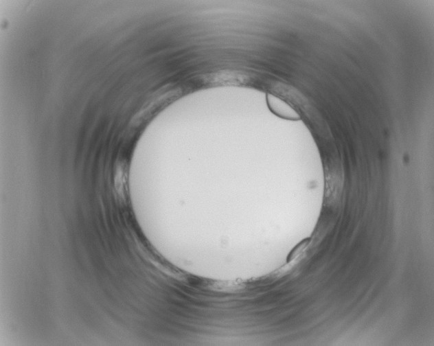 X0000066080142200603241441