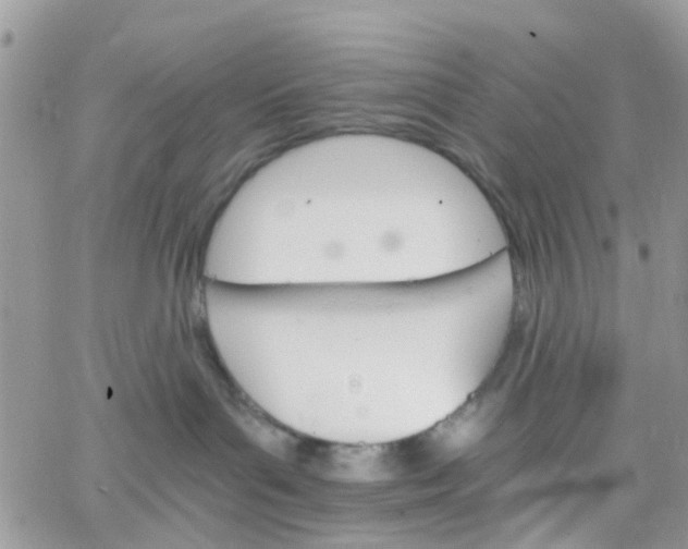 X0000066080143200603241441