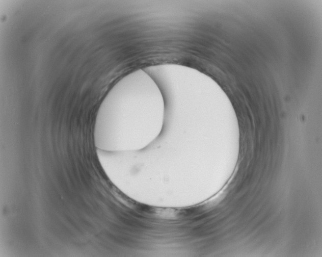 X0000066080144200603241441